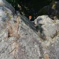 Img 20230611 wa0011